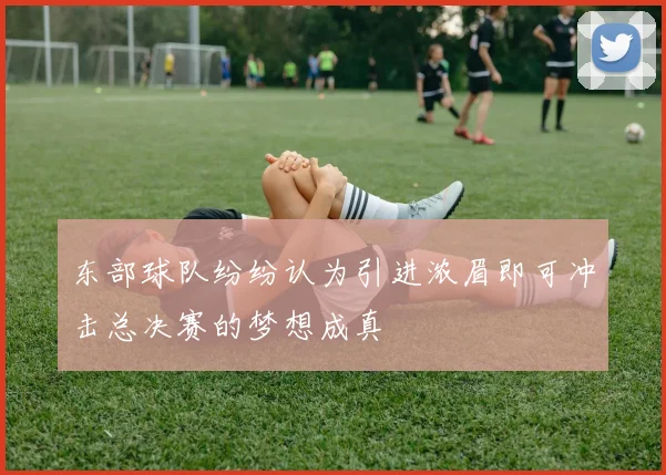 东部球队纷纷认为引进浓眉即可冲击总决赛的梦想成真